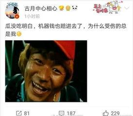 娱乐圈吃瓜大鹅微博,揭秘明星幕后故事，带你领略娱乐圈真实一面