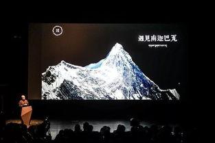 西藏7年背景音乐,旋律中的高原画卷  第3张