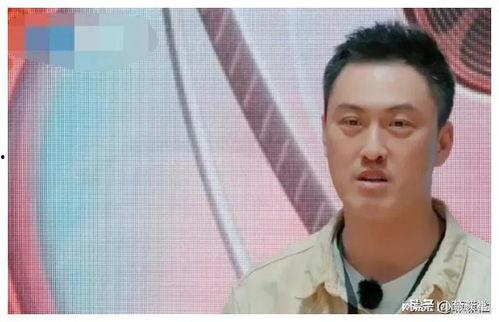 娱乐圈吃瓜爆料打假,揭秘真假难辨的八卦传闻  第2张