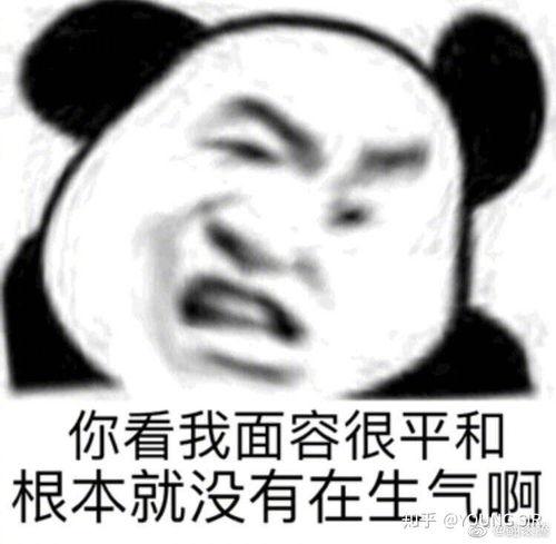 表情包面对面,趣味横生的网络文化盛宴